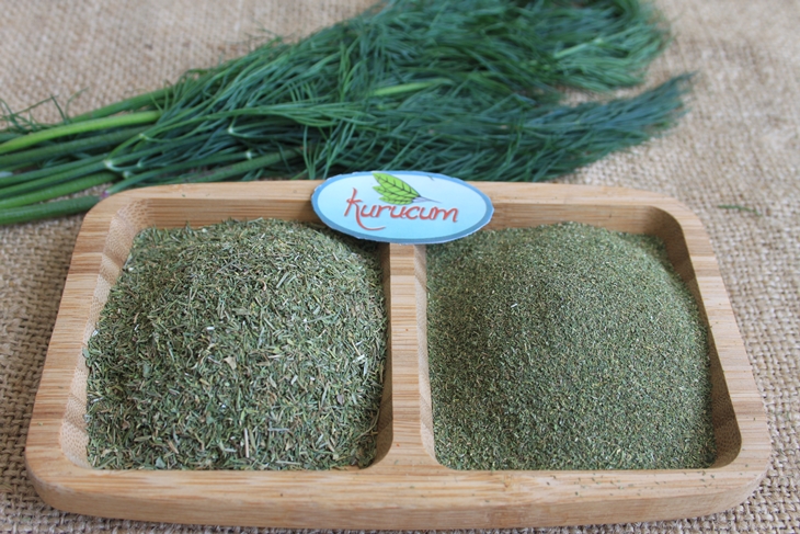 dried dill-4