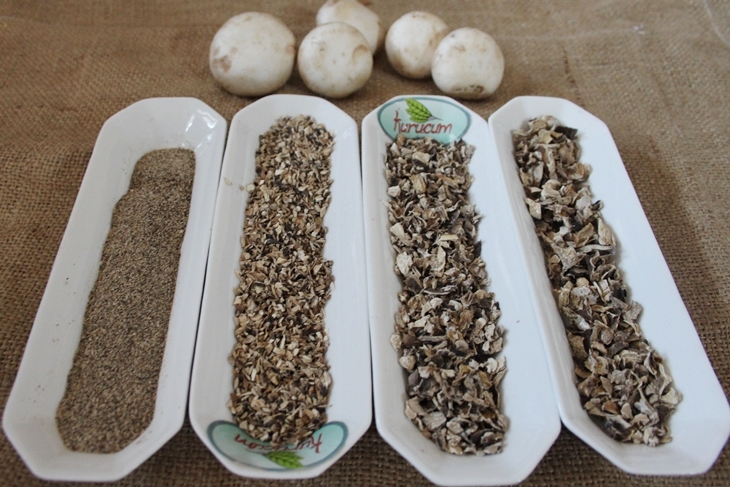 dried mushroom-3