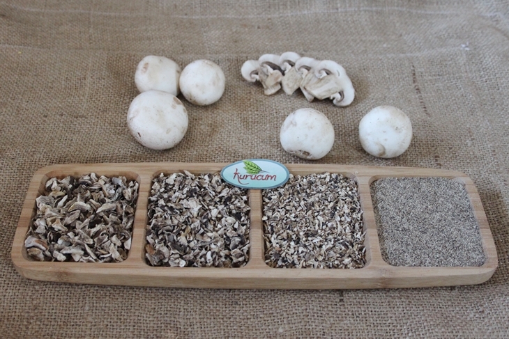 dried mushroom-4