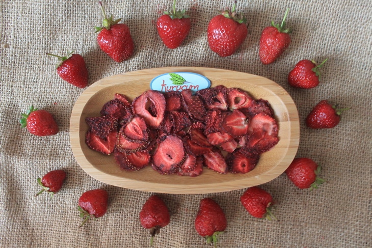 dried strawberry-6