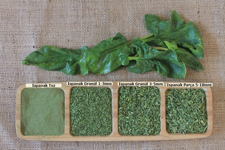 dried spinach-2