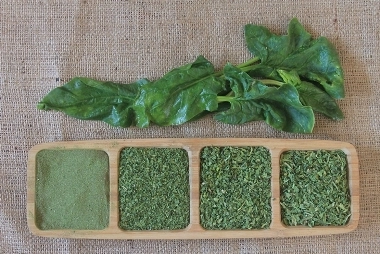 Kurutulmuş ıspanak tozu