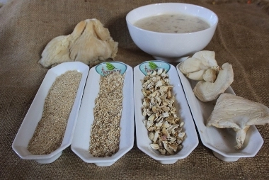 dried mushroom powder